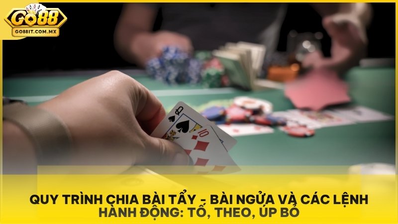Xì Tố Go88 - Hướng Dẫn Luật Chơi Và Chiến Thuật Tố Bài Đỉnh Cao 2 Quy trình chia bài tẩy - bài ngửa và các lệnh hành động: Tố, Theo, Úp bỏ.